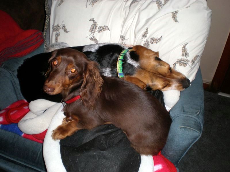 zoey2011-113.JPG