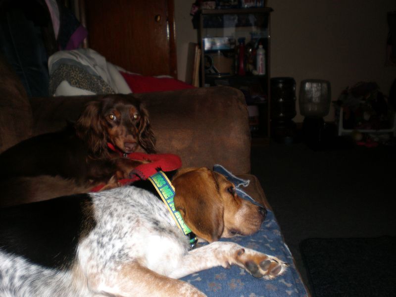 zoey2011-120.JPG
