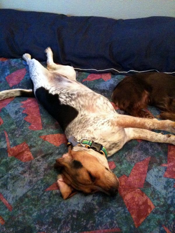 zoey2011-133.JPG
