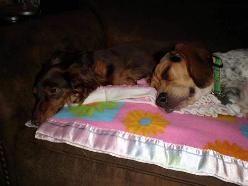 zoey2011-160.JPG