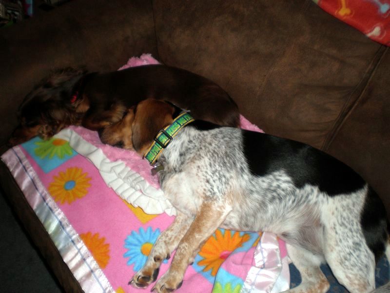 zoey2011-165.JPG