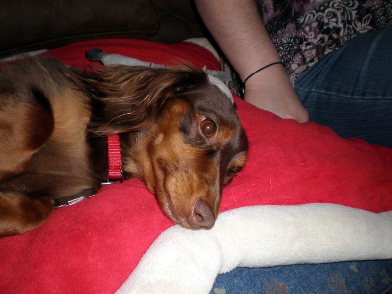 zoey2011-173.JPG