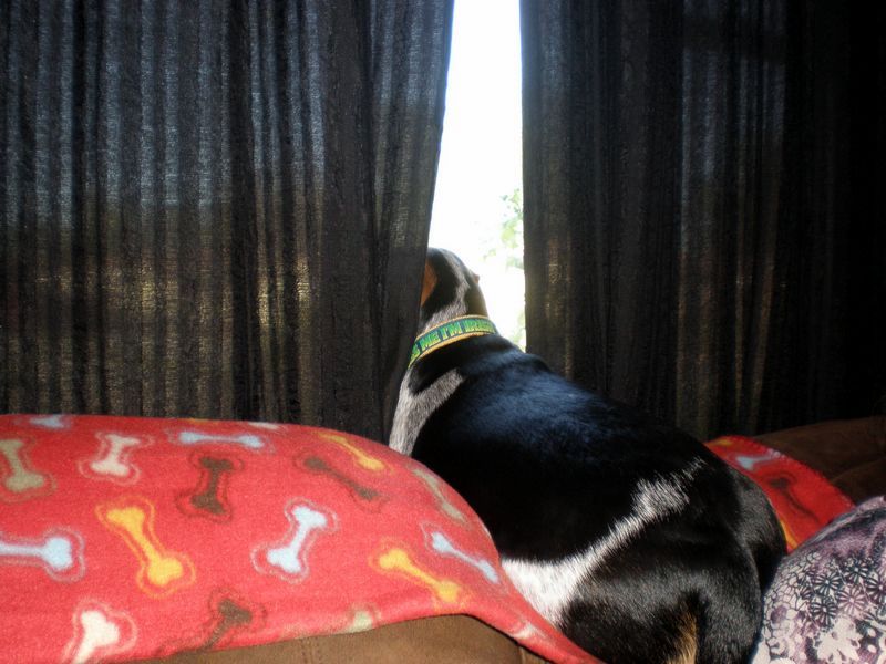 zoey2011-174.JPG