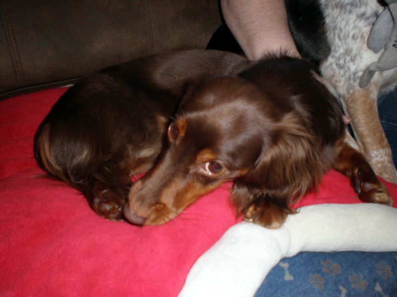 zoey2011-181.JPG