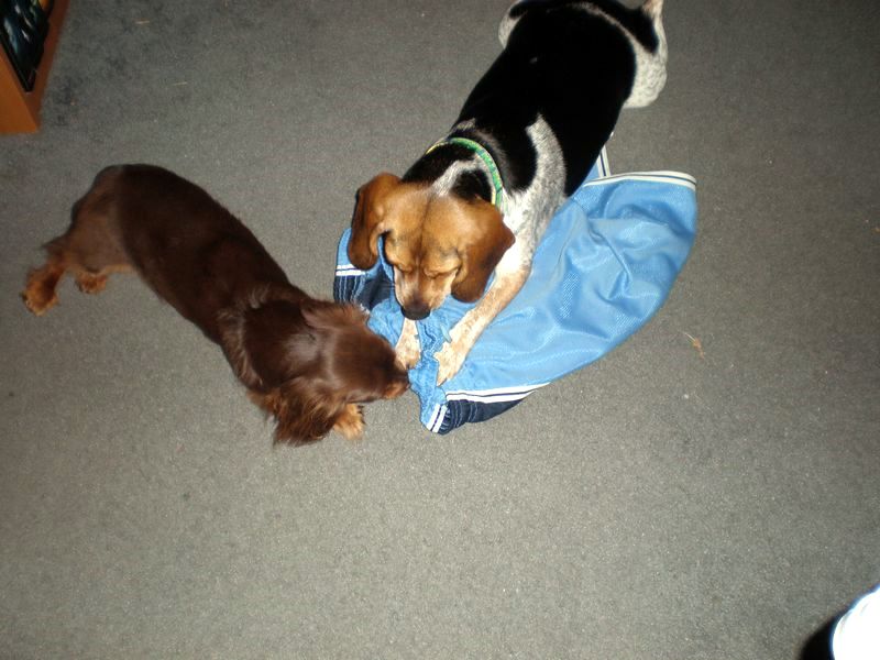 zoey2011-183.JPG