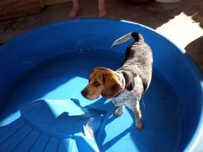 zoey2011-202.JPG