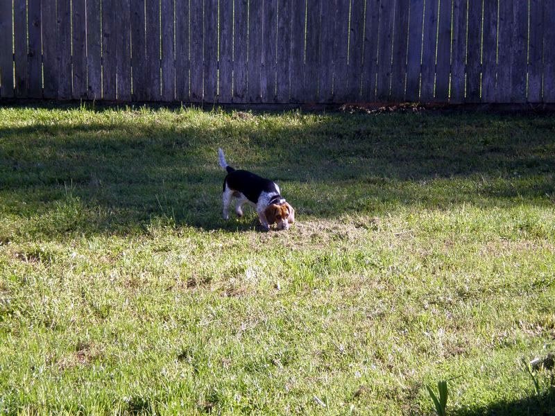 zoey2011-209.JPG