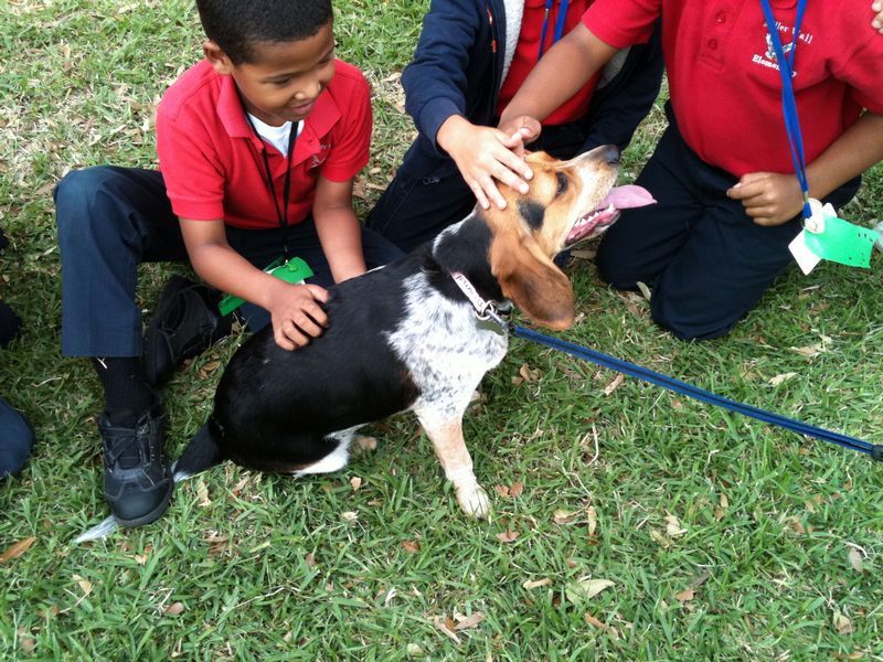 zoey2011-220.JPG