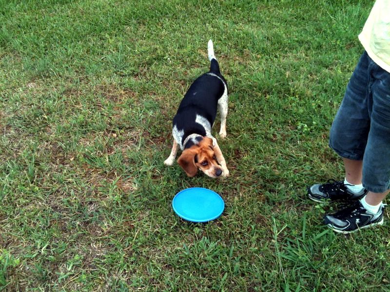 zoey2011-230.JPG