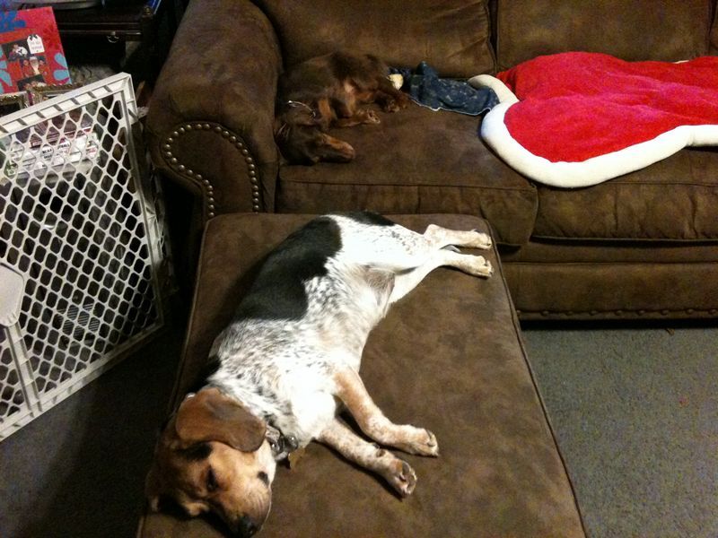 zoey2011-235.JPG