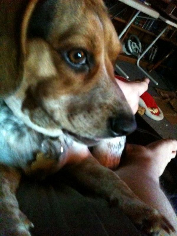 zoey2011-334.JPG