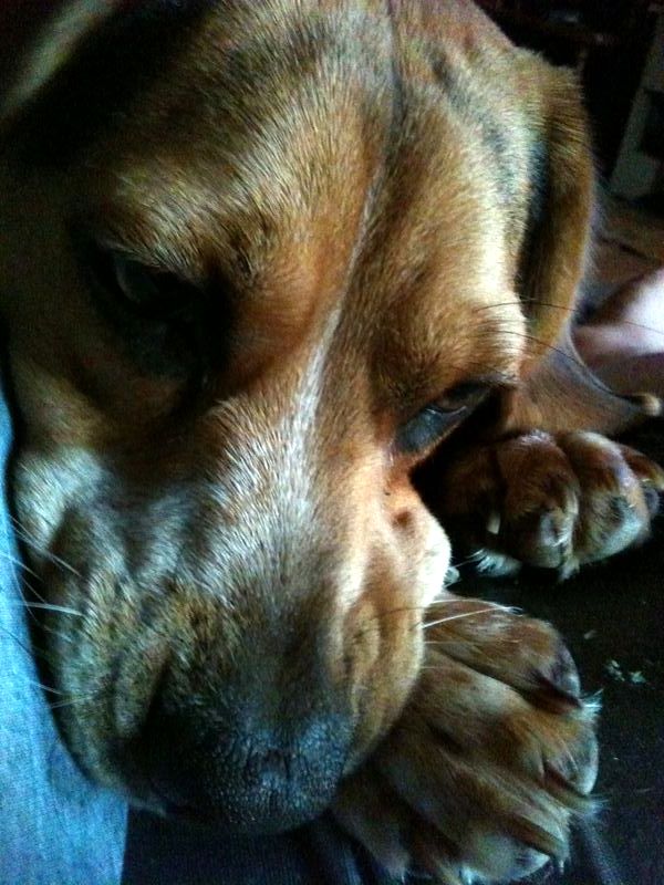 zoey2011-338.JPG
