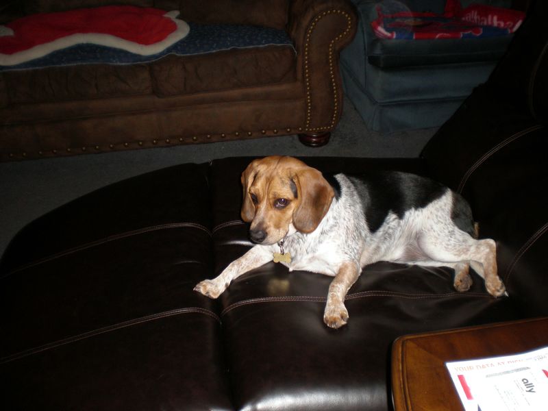 zoey2011-341.JPG