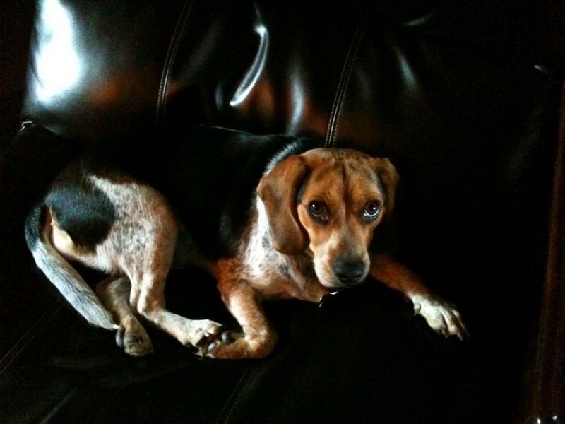 zoey2011-366.JPG