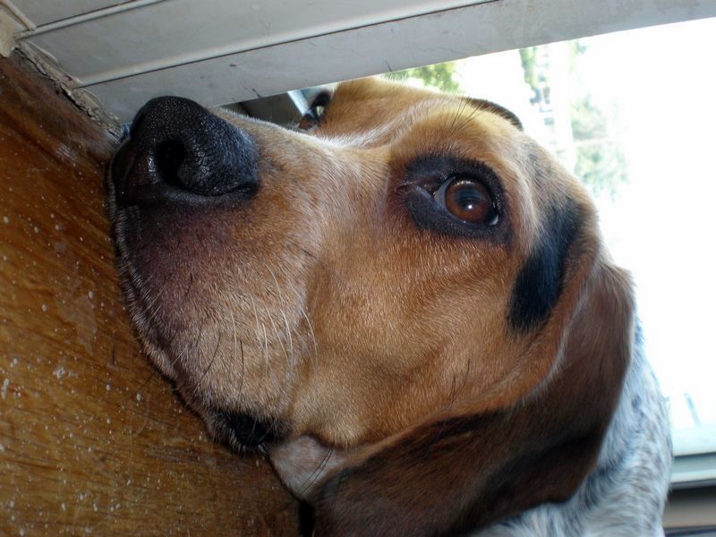 zoey2011-389.JPG