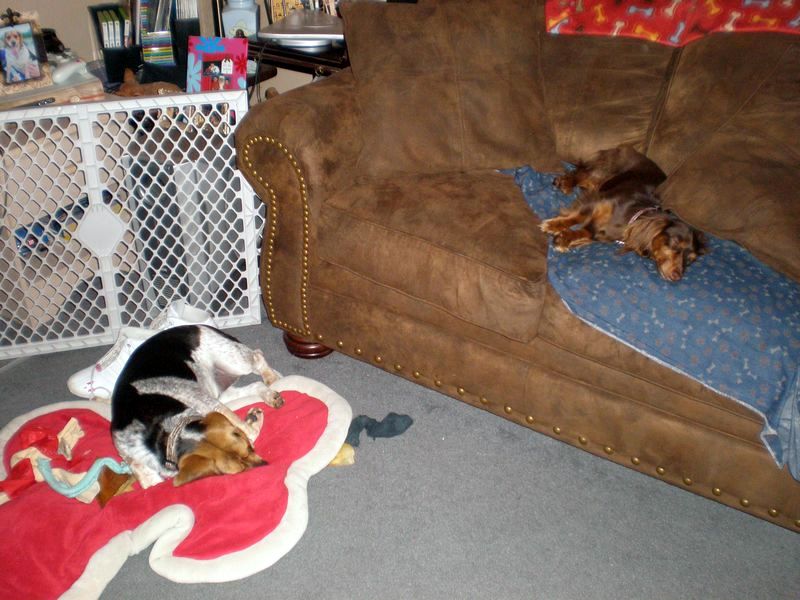 zoey2011-397.JPG