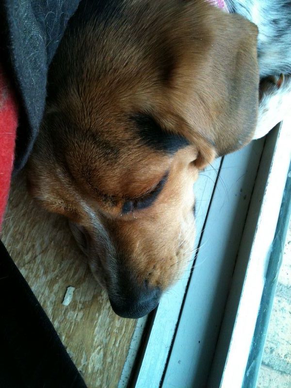 zoey2011-401.JPG