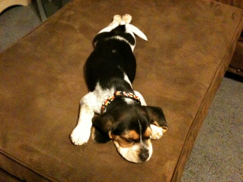 IMG_0183_x.JPG