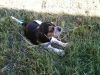 IMG_0180_x.JPG