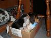 Filename=PA180052_x.JPG
Filesize=73KiB
Dimensions=800x600
Date added=Oct 22, 2010 PA180052_x.JPG