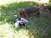 Filename=pa16003828rev_029_x.jpg
Filesize=134KiB
Dimensions=800x600
Date added=Oct 22, 2010 pa16003828rev_029_x.jpg