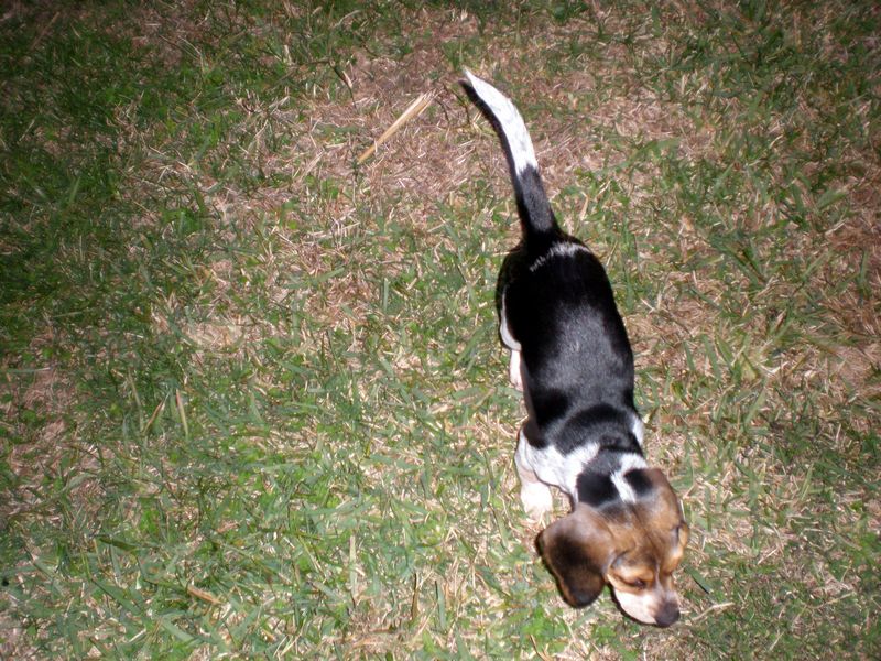 Zoey-017.JPG