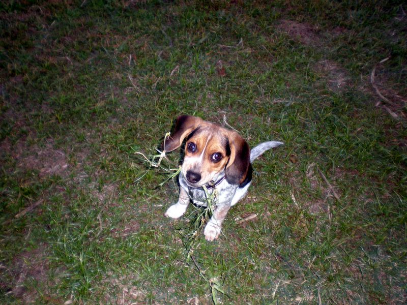 Zoey-056.JPG