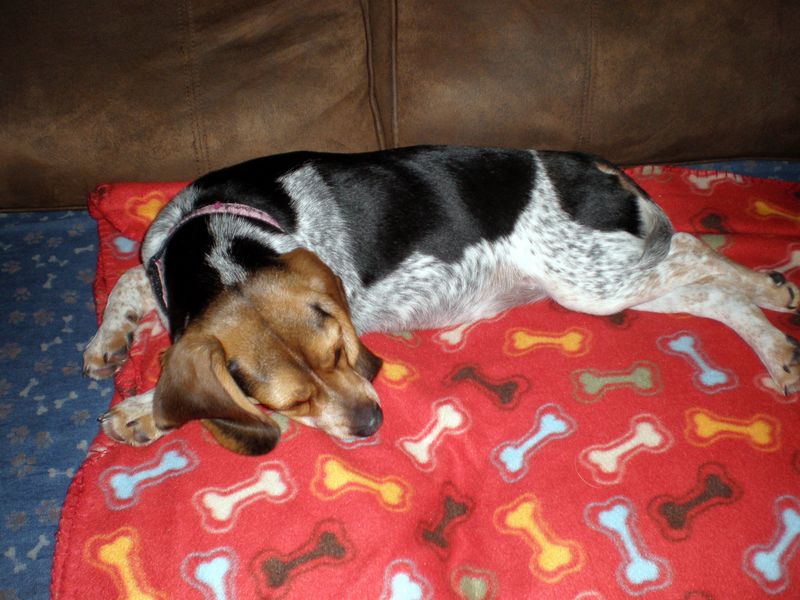 Zoey-084.JPG
