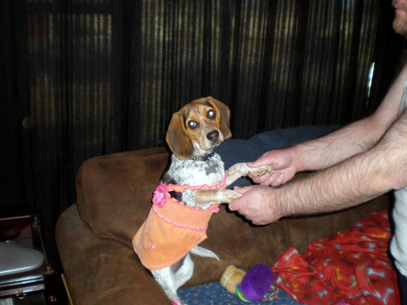 Zoey-119.JPG