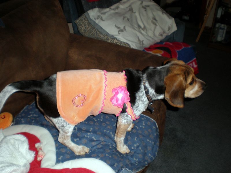 Zoey-120.JPG