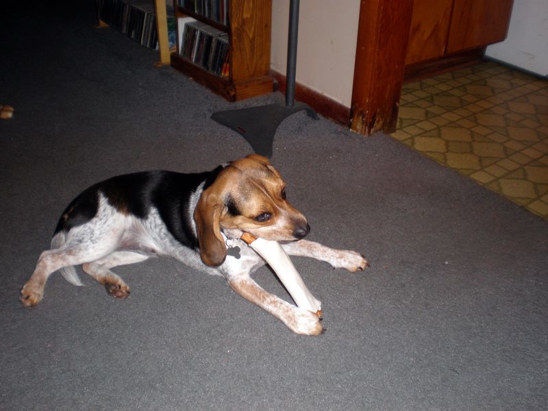 Zoey-144.JPG