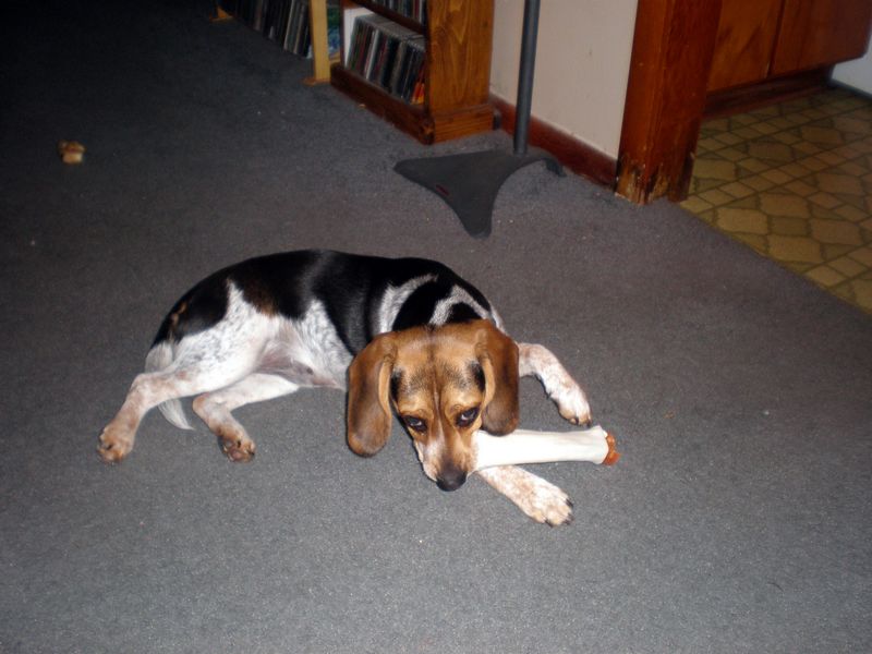 Zoey-145.JPG