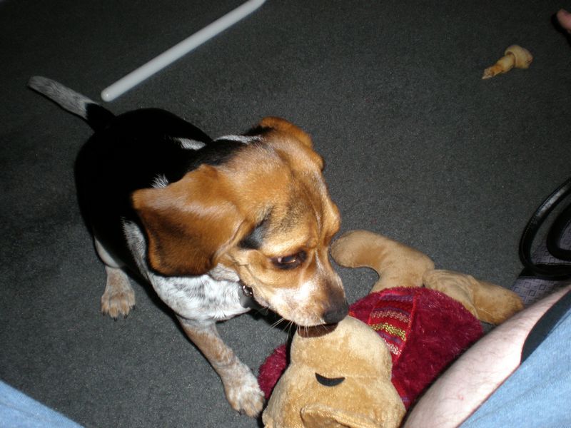 Zoey-188.JPG