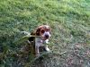 Zoey-009.JPG