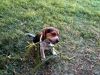 Zoey-010.JPG