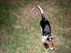 Zoey-017.JPG