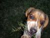 Zoey-053.JPG