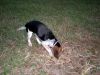 Zoey-060.JPG