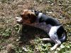 Zoey-071.JPG