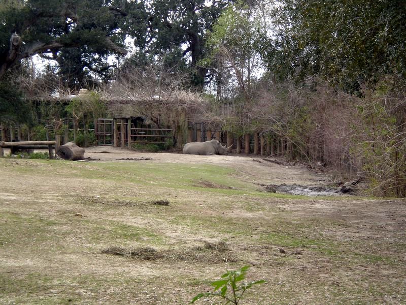 P2200308.JPG