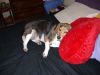 DSCF2571.JPG